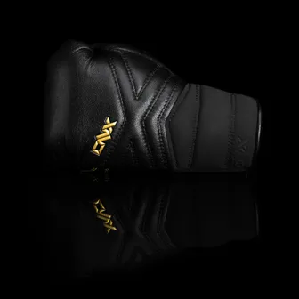 Product image of X-FACTOR TRAINING GLOVE (LACE UP)
