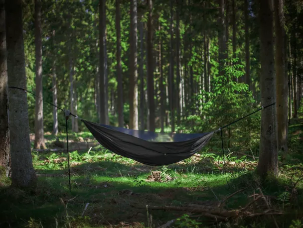 Product image of Original Blackbird