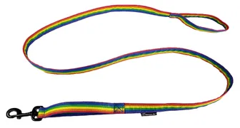 Product image of Rainbow Leash