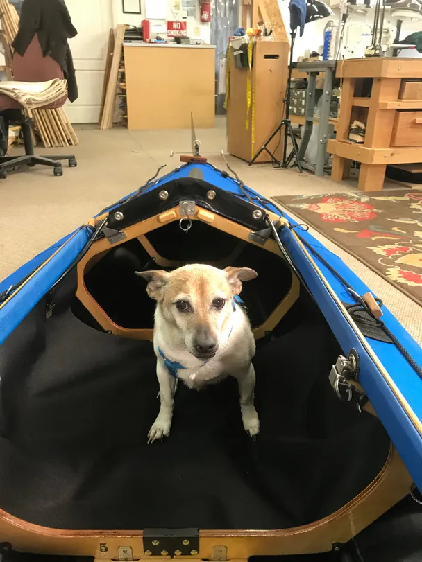 Product image of Kayak Dog Sling