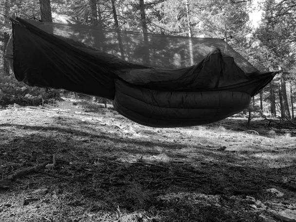 Product image of Custom Torso Lynx