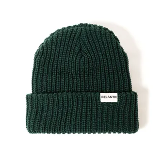 Product image of Chunky Knit Beanie - Forest Green