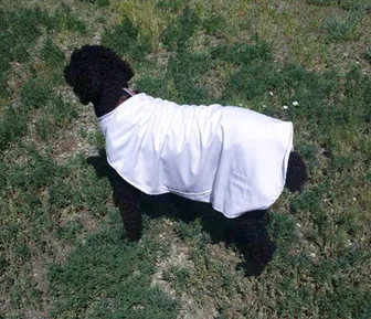 Product image of Heat Reflective Cooling Dog Jacket