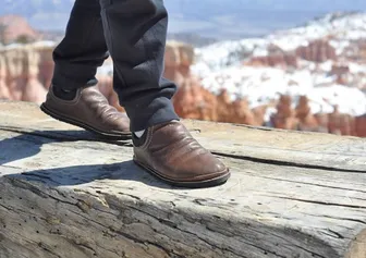 Product image of Adult Rogue