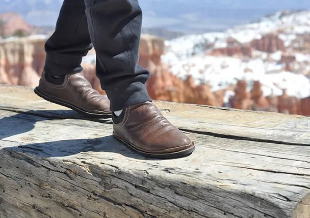 Product image of Adult Rogue