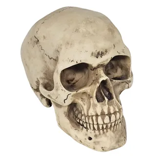 Product image of BIG Skull Shift Knob — Sturdy, Detailed, and One‑of‑a‑Kind