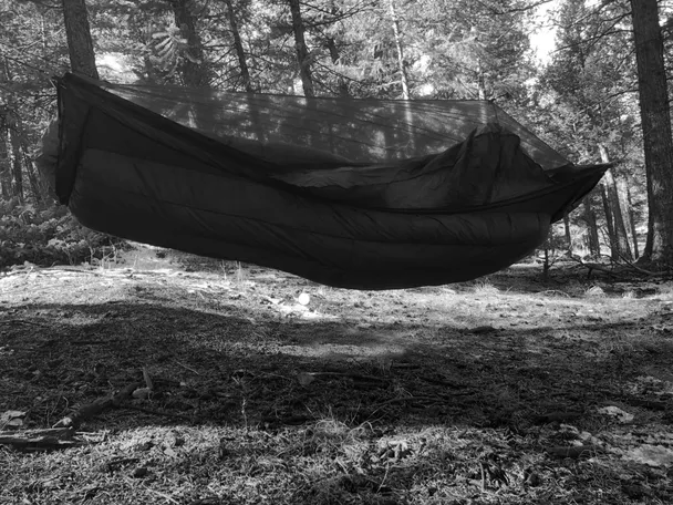 Product image of Custom Lynx (Full Length)