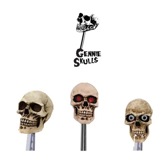 Product image of Skull Series