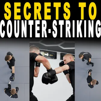 Product image of SECRETS TO COUNTER-STRIKING