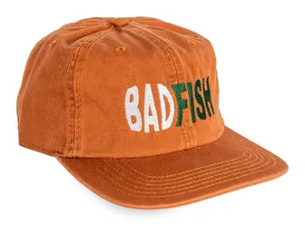 Product image of Nerdhouse X Badfish Dad Hat