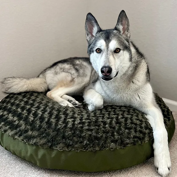 Product image of Dog Bed Round Base Furvana™