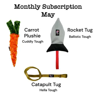 Product image of Lucky Dog $9 Monthly Toy Subscription